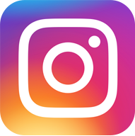 Sane AI instagram